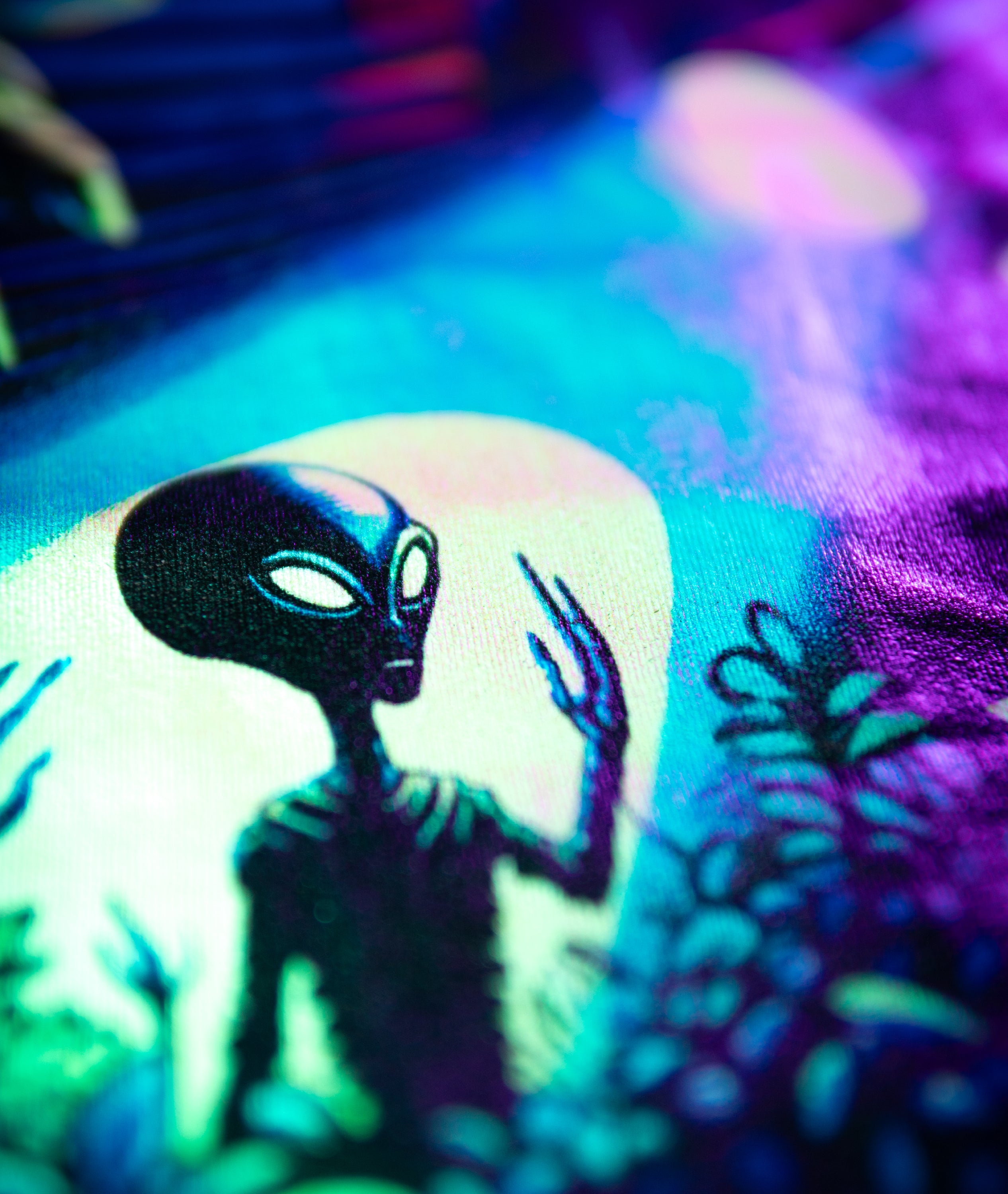 SNEAKS OUT AT NIGHT